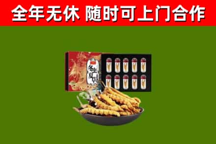 长宁烟酒回收冬虫夏草礼盒.jpg